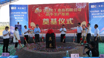 PT��Ѷ���޹�˾�عس������ص������Բ���ɹ���