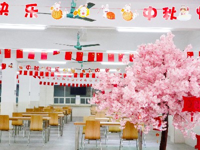 PT��Ѷ-��������