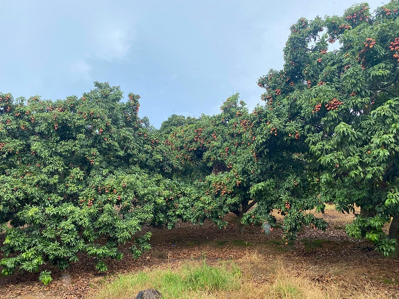 ���縣����PT��Ѷ��֯ժ��֦�